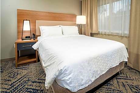 1 Queen Bed Studio Suite