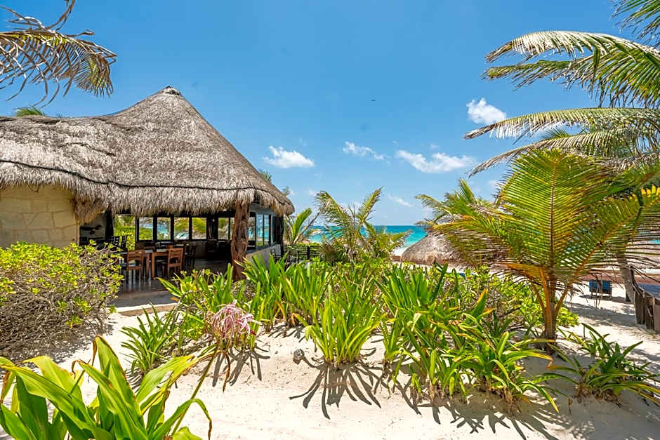 Sol Caribe