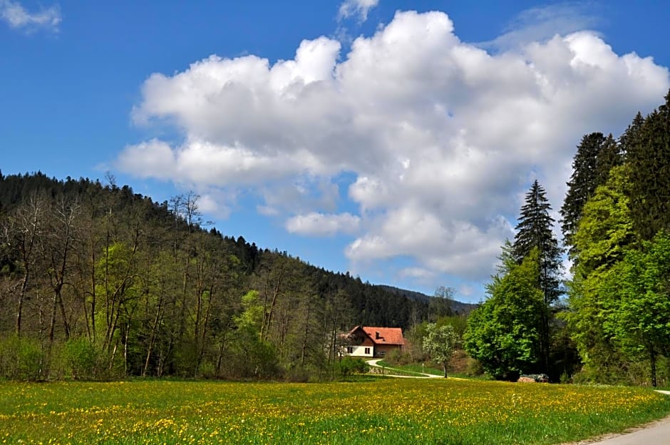 Schwarzwaldhotel Klumpp