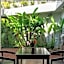 Nyne Hotels Lake Lodge - Colombo