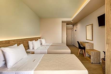 Triple Room with City View