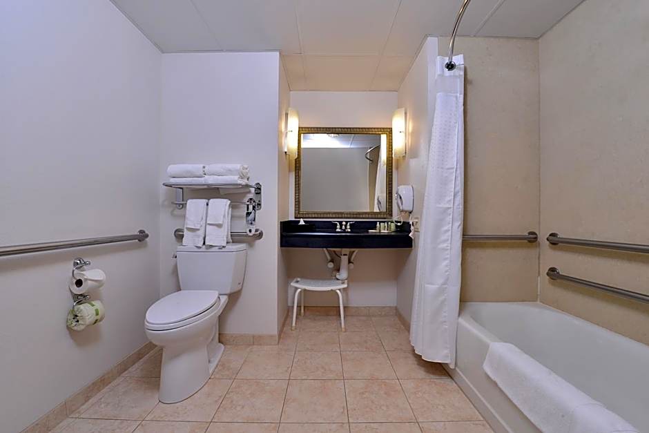 Holiday Inn Madison at The American Center By IHG