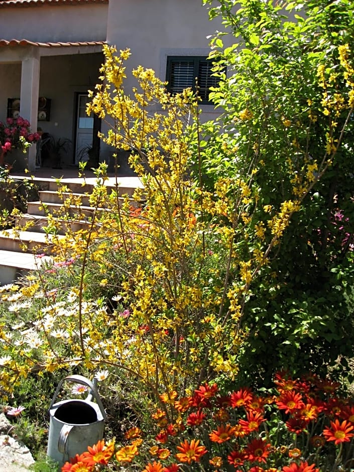 Casa "Quinta Souto da Ordem"