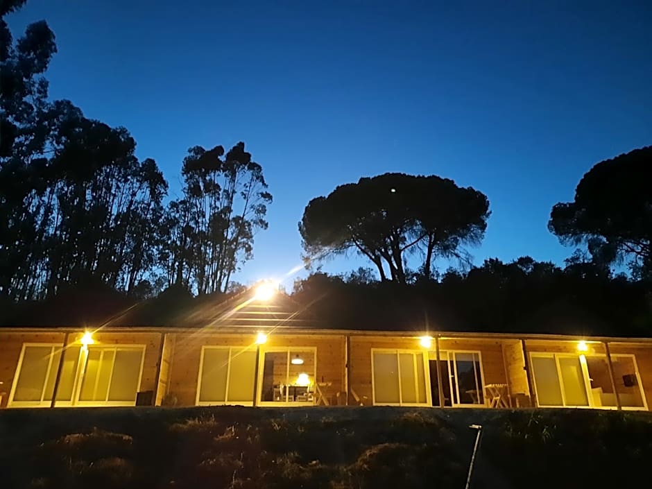FALCOARIA Setubal