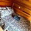 Cabanas das Araucárias
