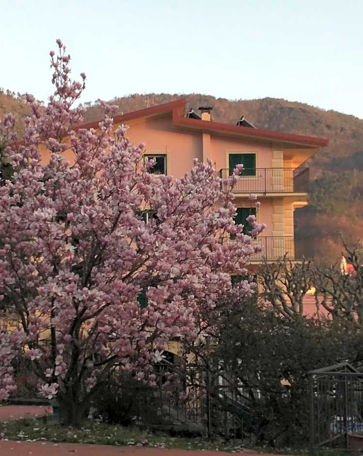 Hotel La Vigna