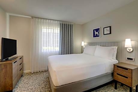 One-Bedroom Queen Suite