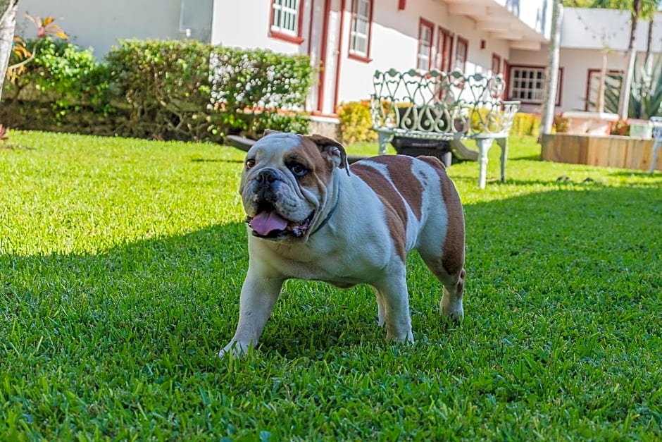 Hotel Lagoon - Pet Friendly