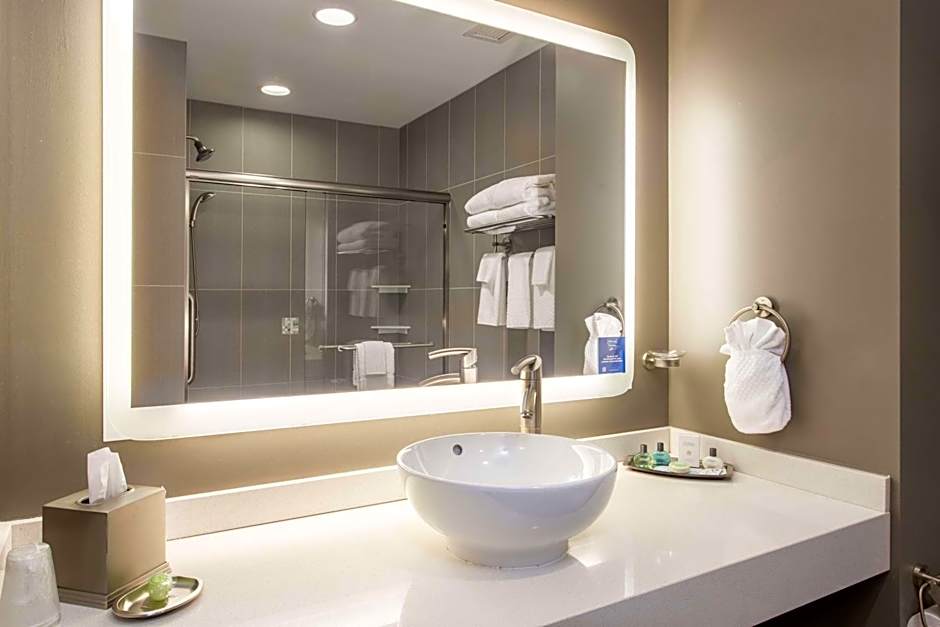 The Mosey Buffalo Williamsville Tapestry Collection Hilton