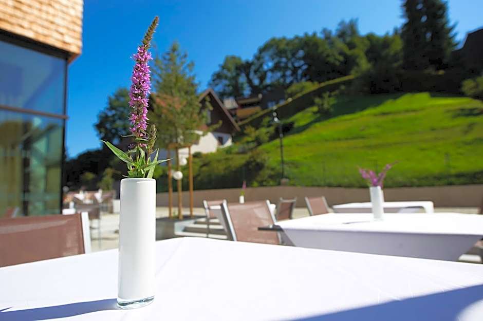 Sternen Hotel Wolfurt