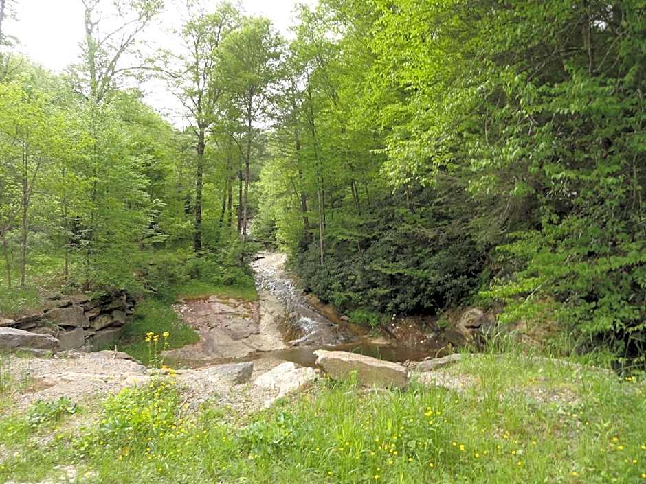 4 Seasons at Beech Mountain