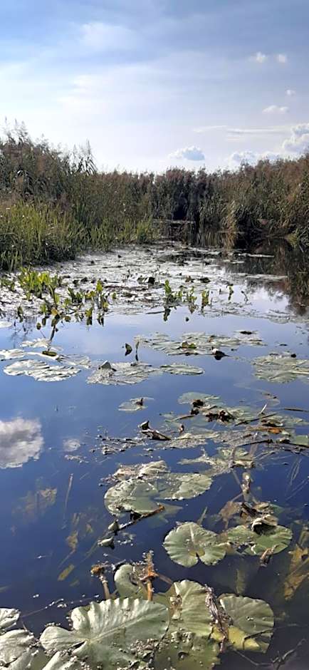 Noclegi nad Biebrzą Stara Szkoła