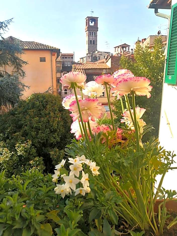 Bed and Breakfast Evelina