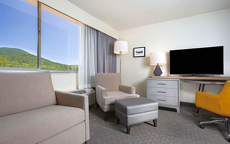 Holiday Inn Asheville East-Blue Ridge PKWY