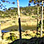 Cabanas das Araucárias