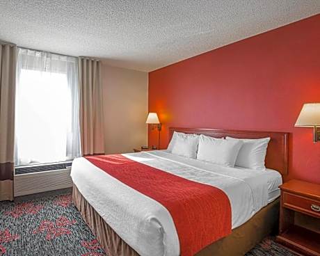 1 King Bed, Suite, Nonsmoking