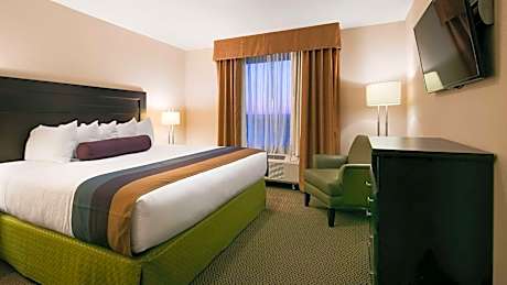 One-Bedroom King Suite with Sofa Bed - Non-Smoking