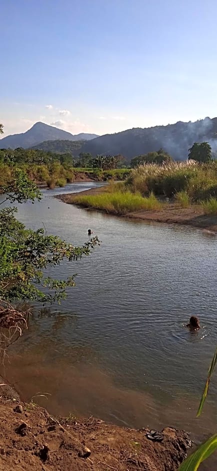 4 Pohon - Les 4 Arbres
