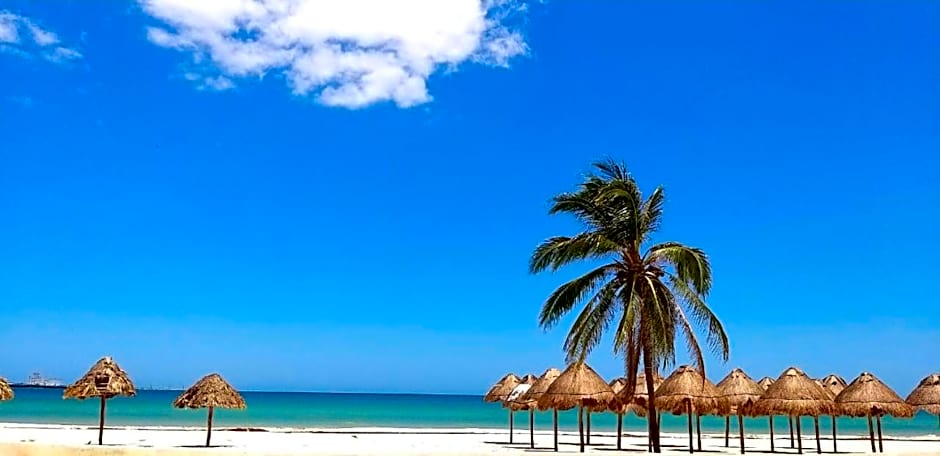 Hotel & Suites Domani