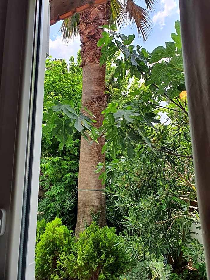Hotel Villa Anais