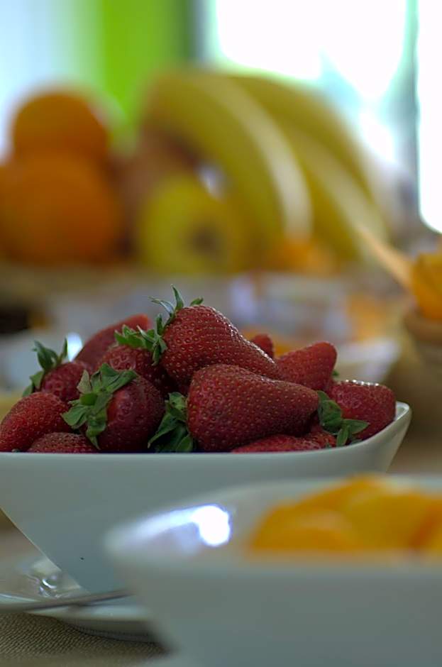 Hotel Parco degli Ulivi