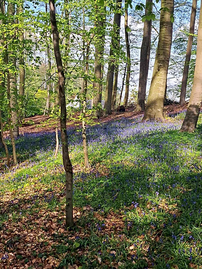 B&B Lekker Buiten