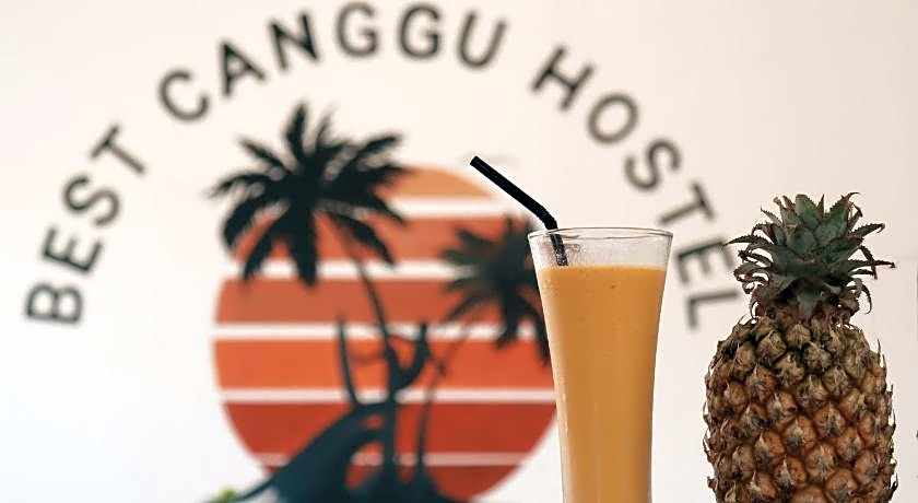 Best Canggu Hostel