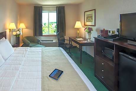 King Room - Non-Smoking