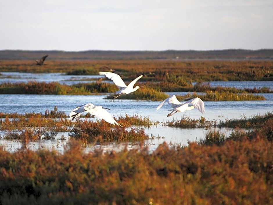 Vale Do Garrao Villas