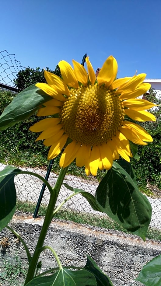 Bed and Breakfast Arcobaleno