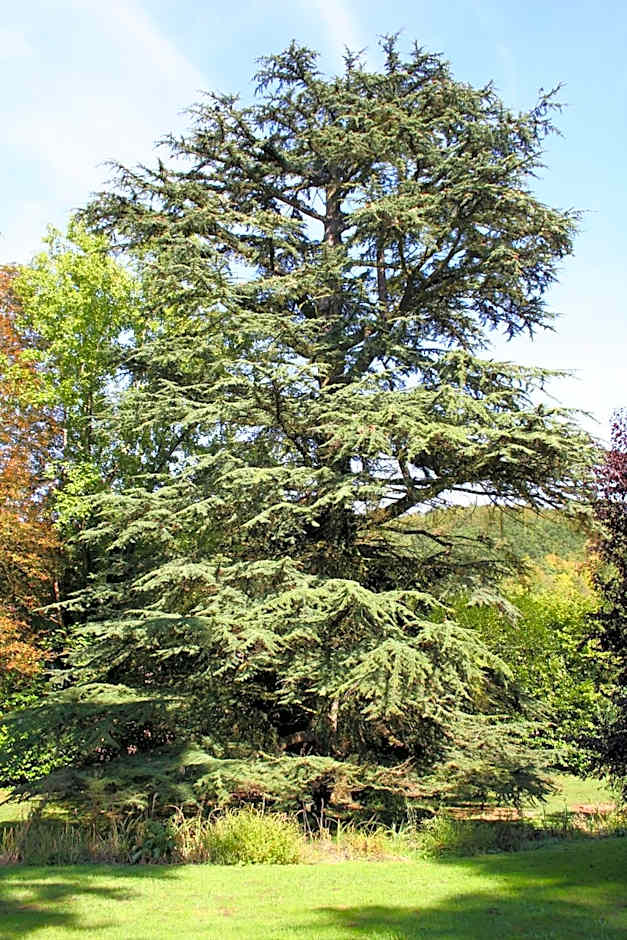 Hotel Belle Isle Sur Risle