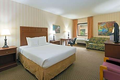 Queen Studio Suite - Non-Smoking