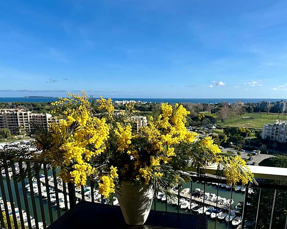 Cannes Marina Appart Hotel Mandelieu