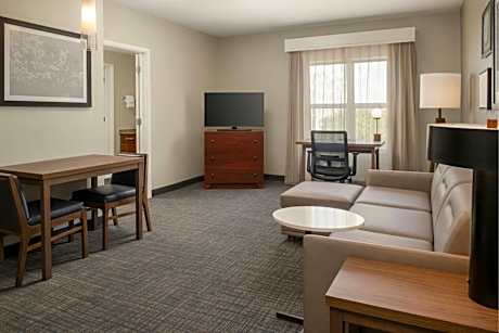 One-Bedroom Suite with Sofa Bed