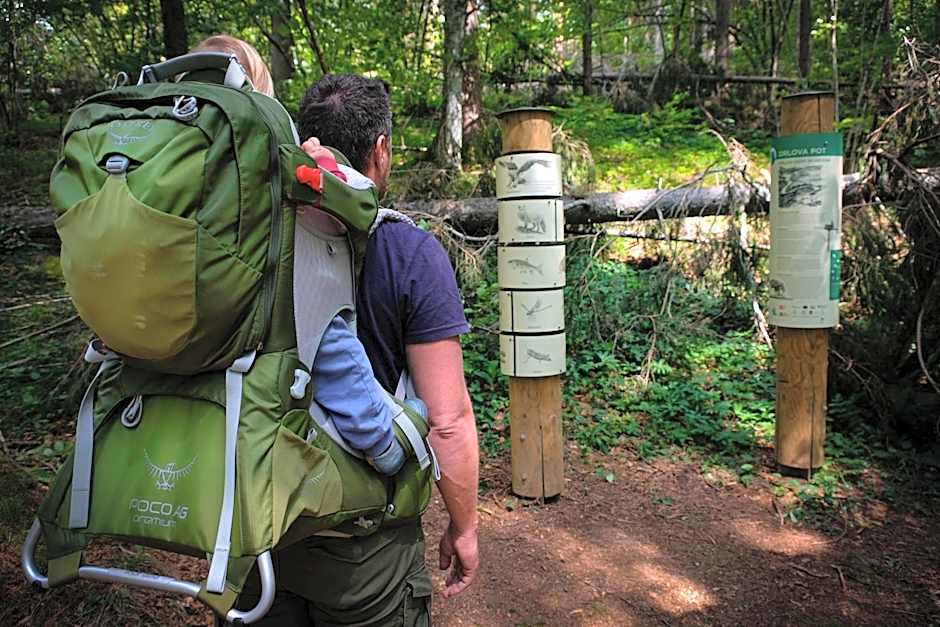 Hostel Bearlog Kočevje