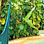 Aldea Coba An Escape Boutique Experience