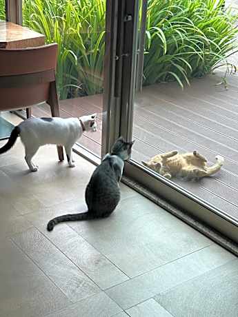 Elegance Double Room