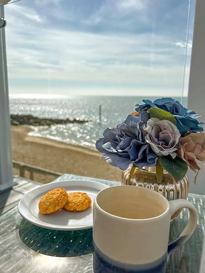 Europa Willow Pitch 29 Creek Caravan Park dog friendly