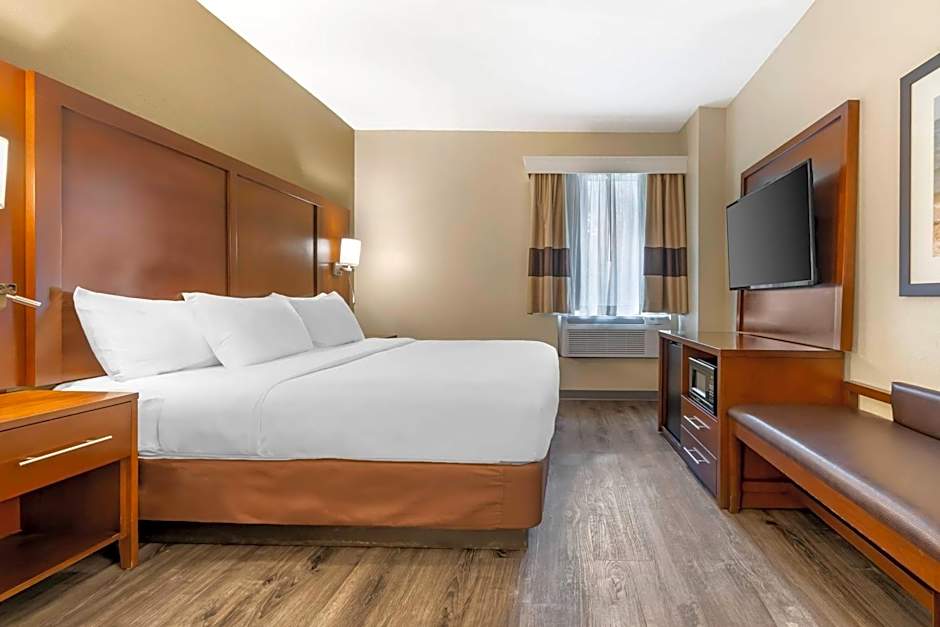Comfort Suites At The University