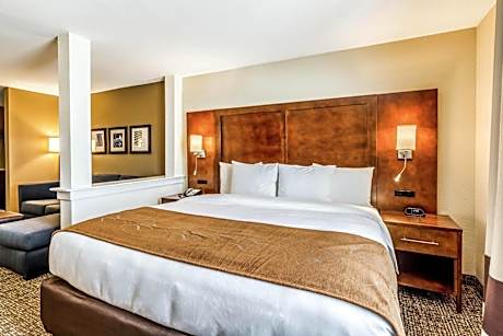 King Suite with Kitchenette - Non-Smoking