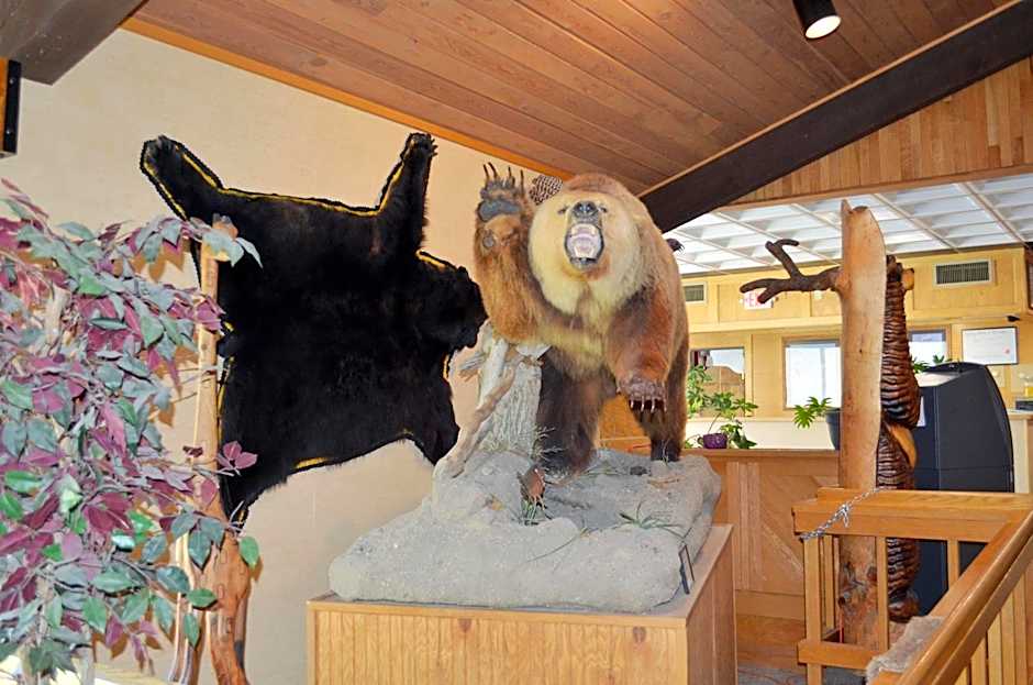 Hot Springs Hotel & Spa