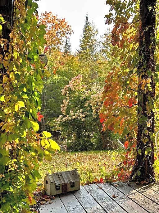 Nature Retreat w/ Sunroom Gazebo