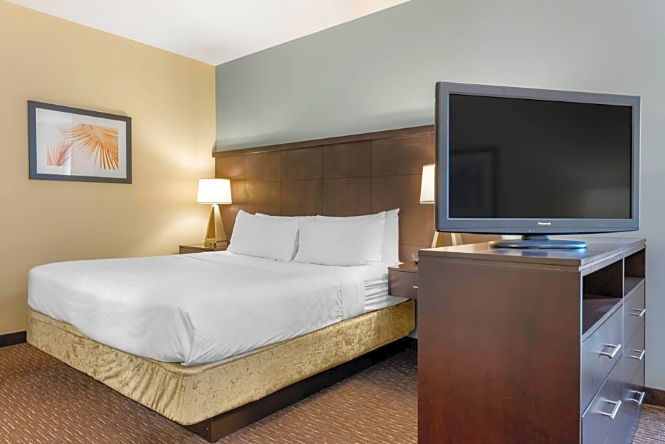 Staybridge Suites St. Petersburg FL By IHG