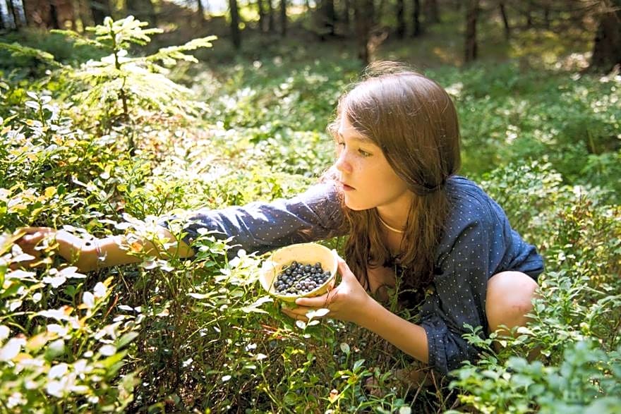 Panoramadorf Saualpe