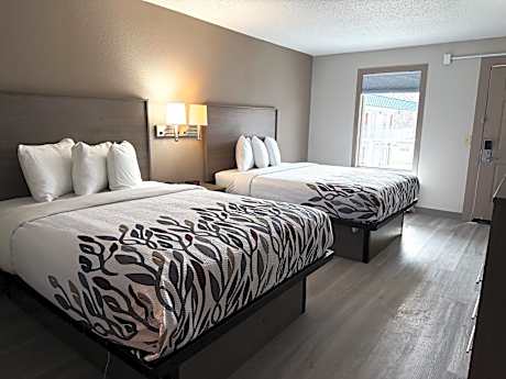Double Room with Two Double Beds