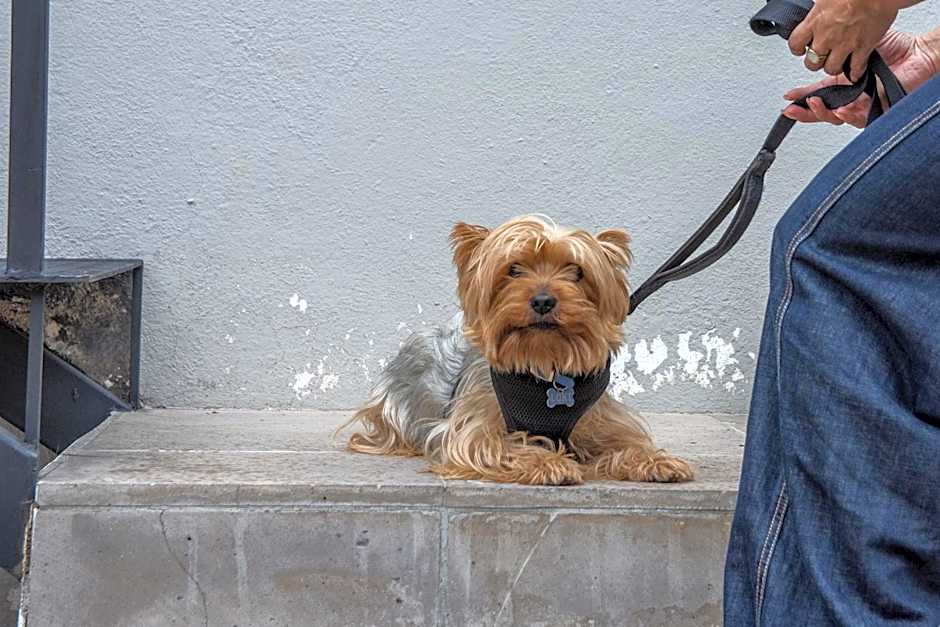 Casa Yuca Hotel Boutique