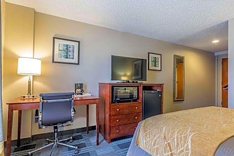 Queen Room - Disability Access/Non-Smoking