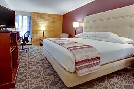 Deluxe King Room with Sofa Bed