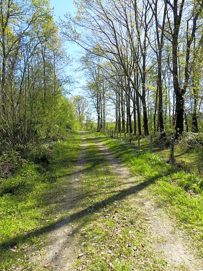 B&B Le Bois de Champia