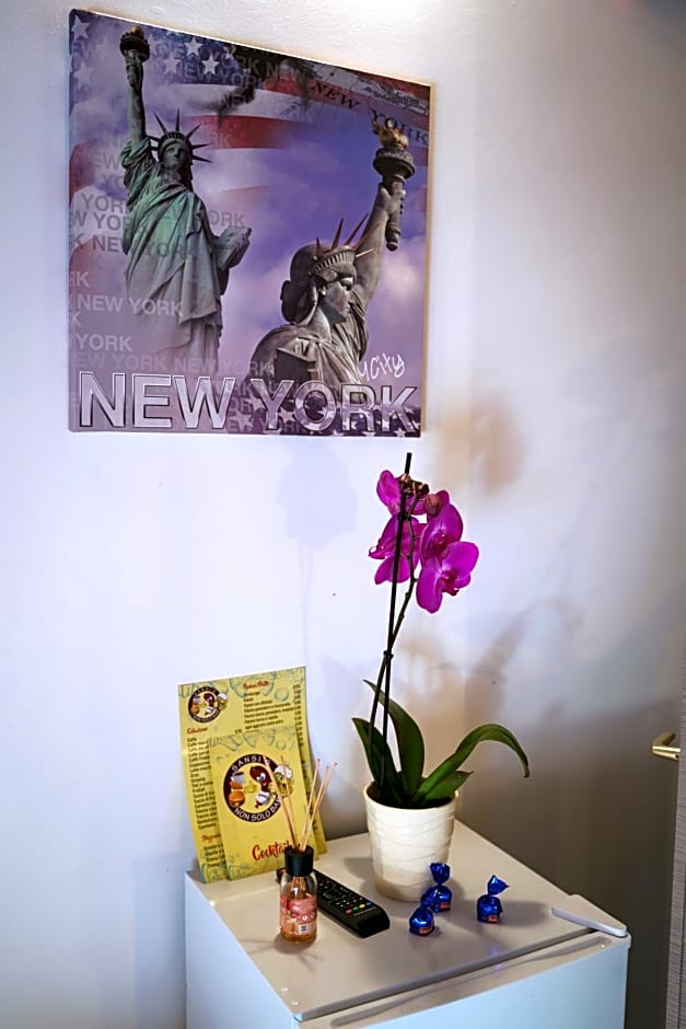 Sansi´s Sapri Camere